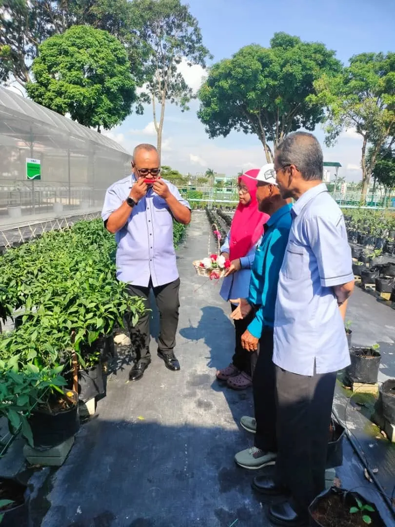 Foto hero: pelawat di ladang Sayo City